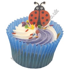 18 Ladybirds 18 Ladybirds
