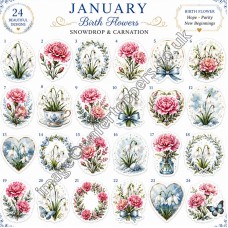 January Flowers