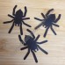 12 Spiders