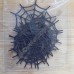 12 Webs 12 Webs