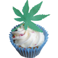 Flower & Leaf