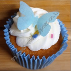 24 Butterflies (B10)