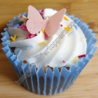 24 Butterflies (B11)