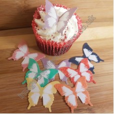 24 Butterflies (B6)