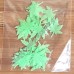 36 Small Cannabis Leaf