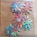 36 Daisy Flowers