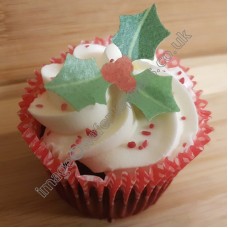 24 Holly Leaf